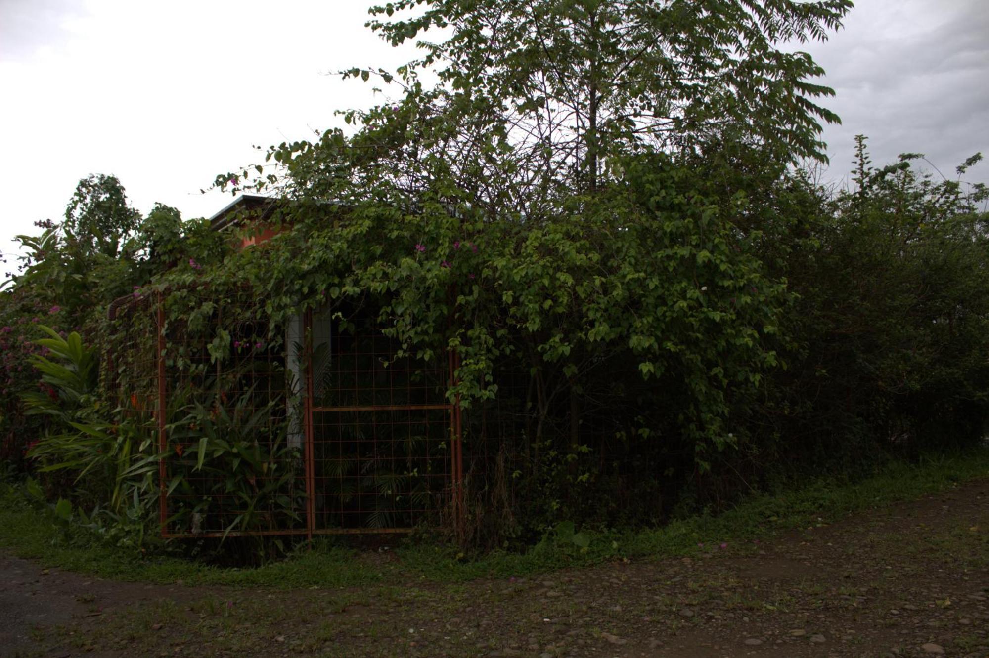 Home Ла Фортуна Экстерьер фото